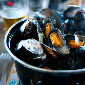 Mussels