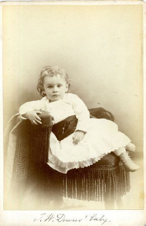 Card, Cabinet                           