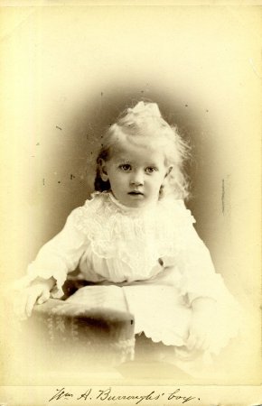 Card, Cabinet                           