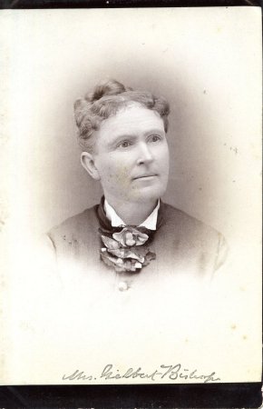 Card, Cabinet                           