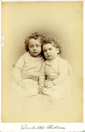 Card, Cabinet                           