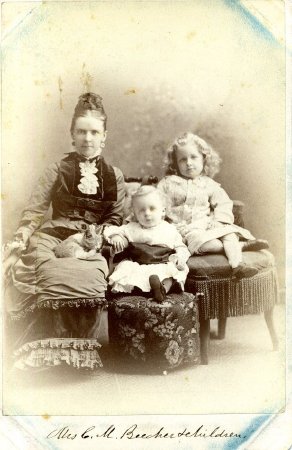 Card, Cabinet                           
