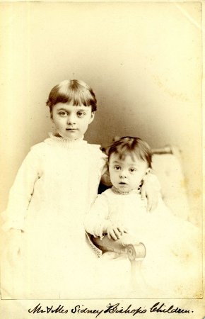Card, Cabinet                           