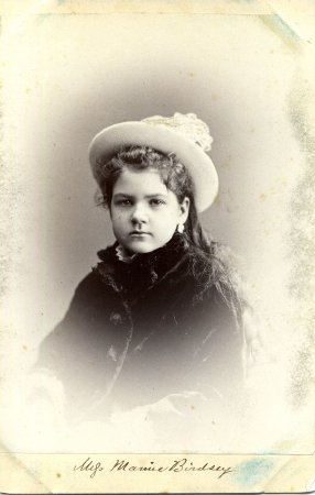 Card, Cabinet                           