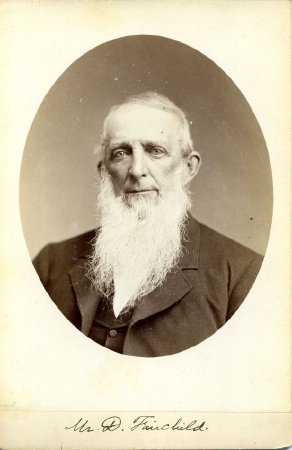 Card, Cabinet                           