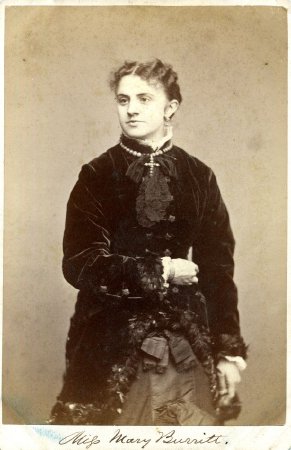Card, Cabinet                           