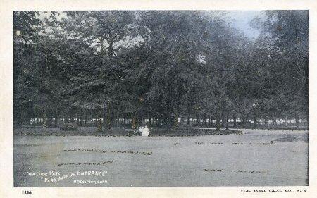Postcard                                