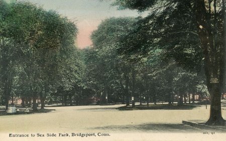Postcard                                