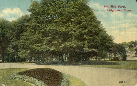 Postcard                                