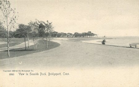 Postcard                                