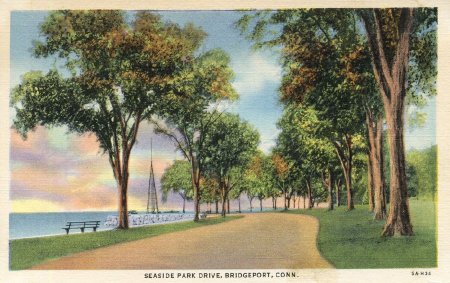 Postcard                                