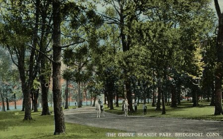 Postcard                                