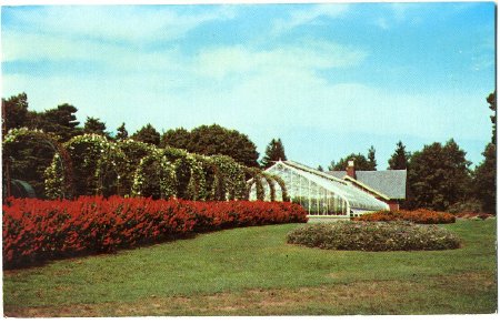 Postcard                                