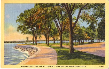 Postcard                                
