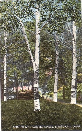 Postcard                                