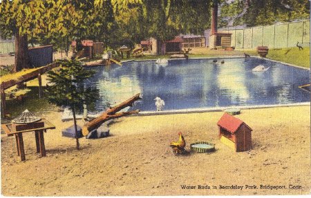 Postcard                                