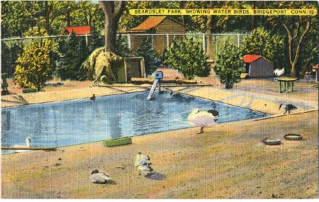 Postcard                                