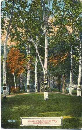 Postcard                                