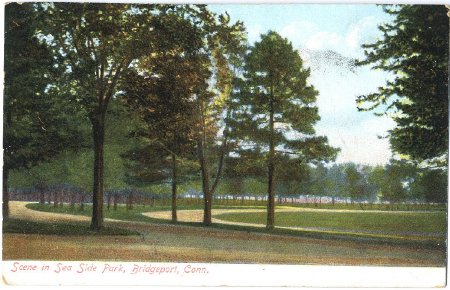 Postcard                                