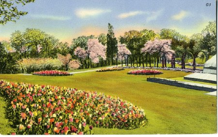 Postcard                                
