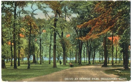 Postcard                                
