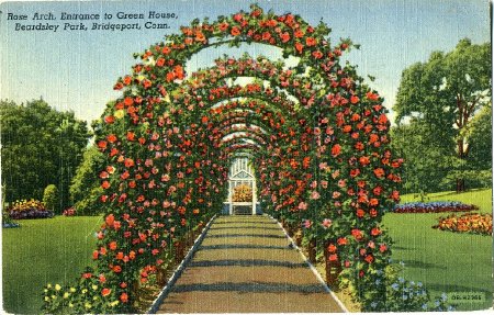 Postcard                                