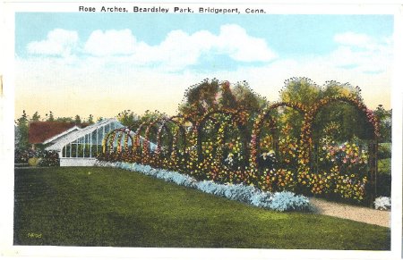 Postcard                                