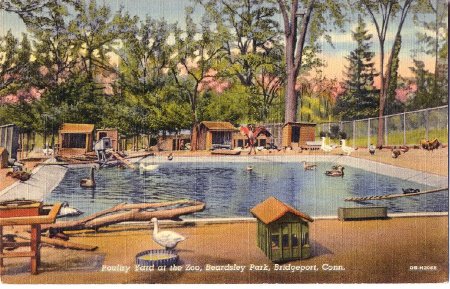 Postcard                                