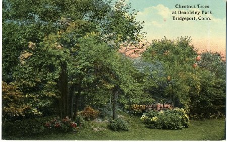 Postcard                                
