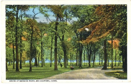Postcard                                