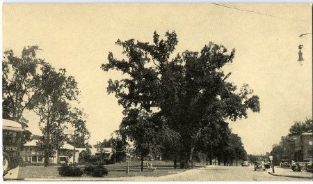 Postcard                                