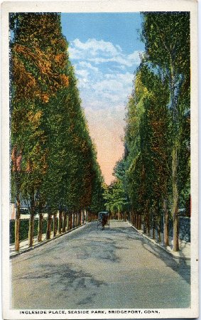 Postcard                                