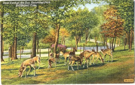 Postcard                                