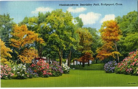 Postcard                                