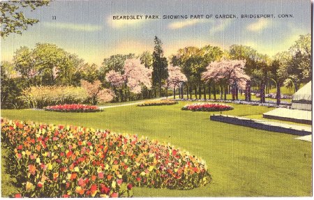 Postcard                                