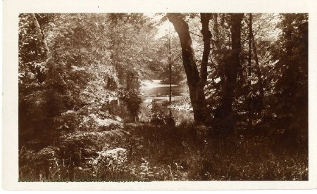 Postcard                                
