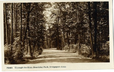 Postcard                                