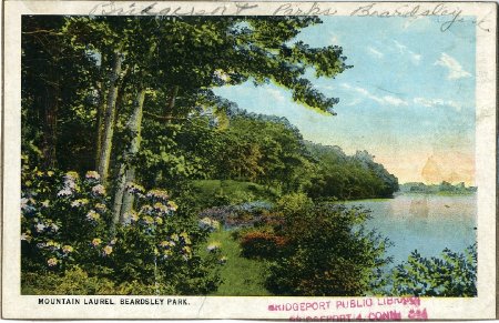 Postcard                                