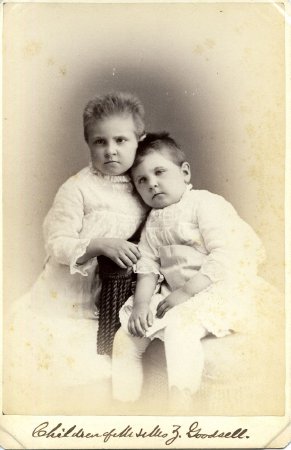 Card, Cabinet                           