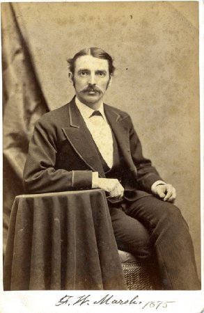 Card, Cabinet                           