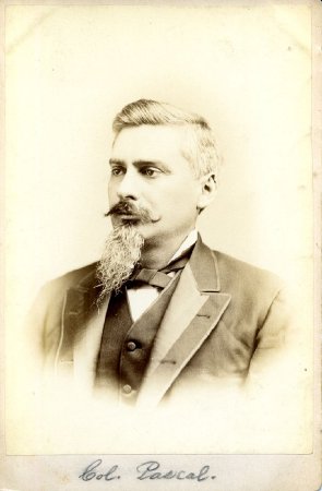 Card, Cabinet                           