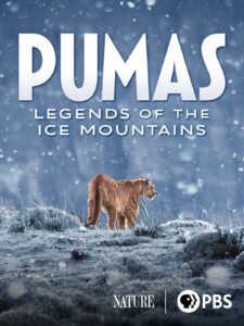 Pumas : legends of the ice mountains