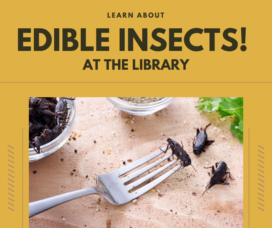 Edible Insects at the Library!