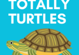 Totally Turtles