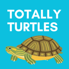 Totally Turtles
