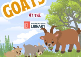 Goats at the Library!