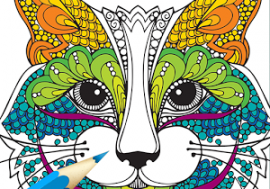 Adult Coloring Class