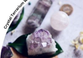 “Planting Seeds of Intention:” Crystal Terrarium Workshop