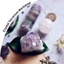 "Planting Seeds of Intention:" Crystal Terrarium Workshop