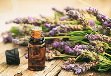 Learn Essential Oils and Aromatherapy with Kim Larkin